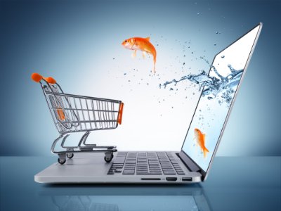 E- Commerce Development